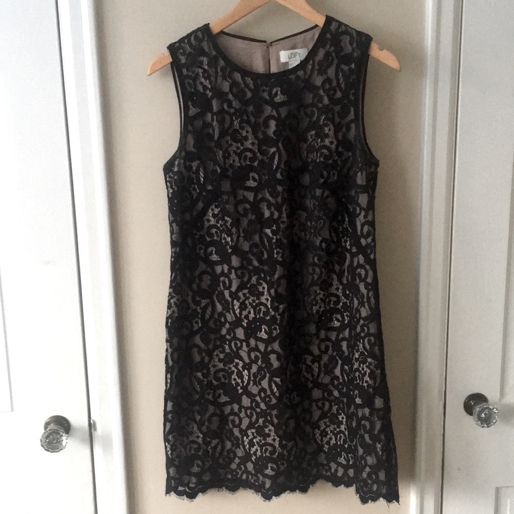 Black Lace Shift Dress Loft— cocktail